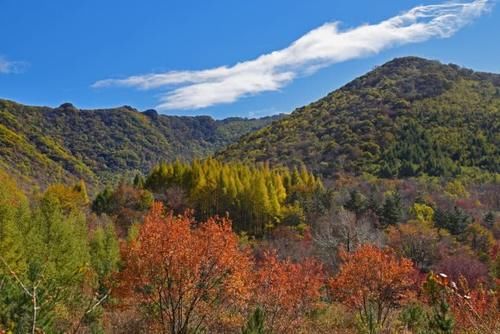 自驾十月最火最红的赏秋线路，本溪枫叶大道，洋湖沟免费更精彩