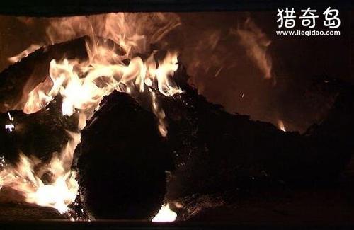 火葬场工人吃130具女尸，是真实还是谣言(在印度真实发生过)