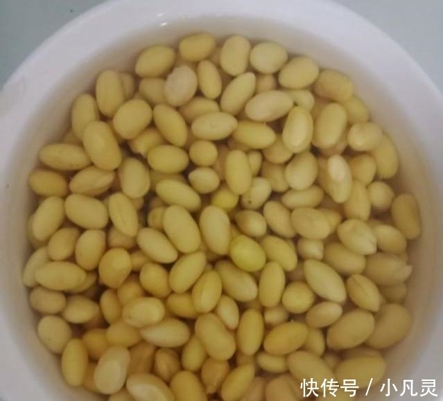  #肉丁烧豆#它是天然“黄体酮”，隔三差五吃，淡化皱纹，美白防色斑