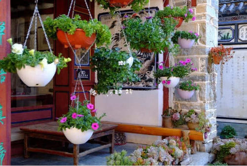 中国“最特别”的尼姑庵，只种花却不烧香！游客直称：太美了！