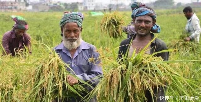 印度最火的大米，煮熟后粒粒分明，中国人却表示：难以下咽