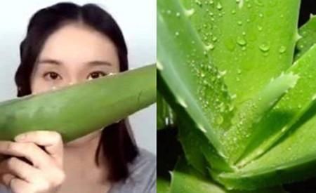 蜂蜜直接涂脸上好么 t0186abafda6f8f6580.jpg