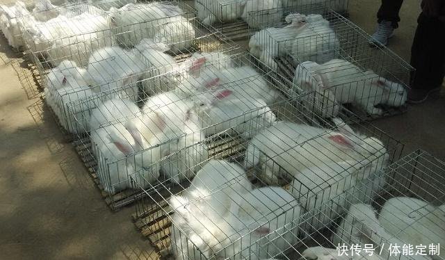 在普通农村中，这些生意投资不大又好做，不妨看看吧！