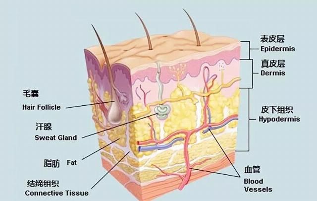 「过敏」红?痒?烫?送你1份敏感肌急救手册!