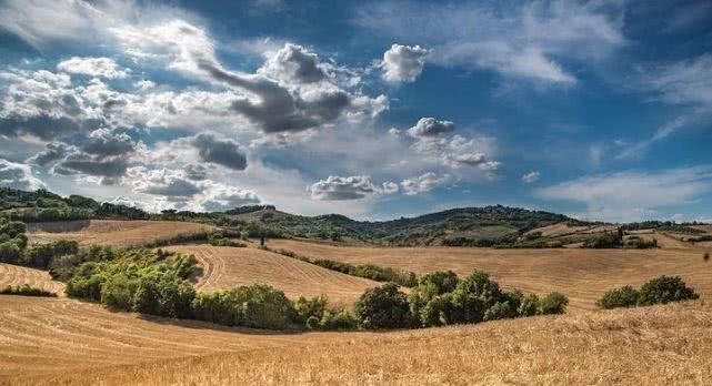 人民网：切段农民后路的“城镇化”是个断子绝孙的馊主意！