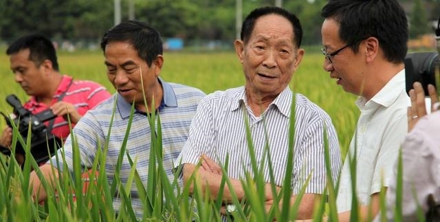 杂交水稻之父袁隆平，88岁再创奇迹