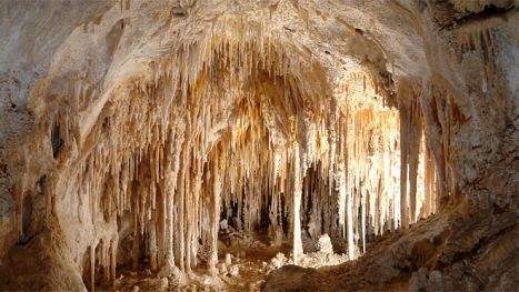 世界上最深的洞穴,六千年没探明深度,生物犹如来自外星