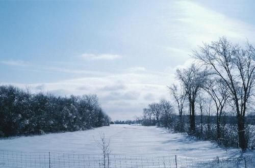  【冬天】立冬到了，立冬是冬天开始的意思吗？今年是冷冬吗？答