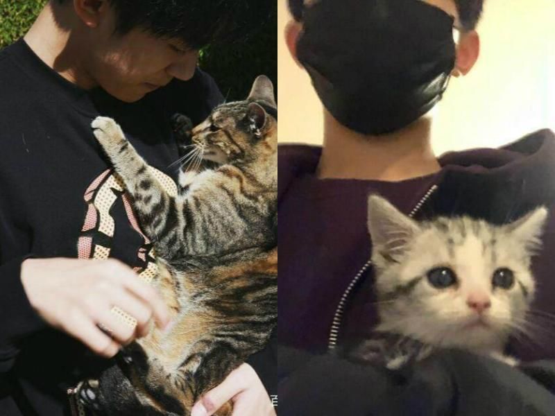 易烊千玺火到国外，带猫咪拍广告，一身潮装让韩国机场都瘫痪了!