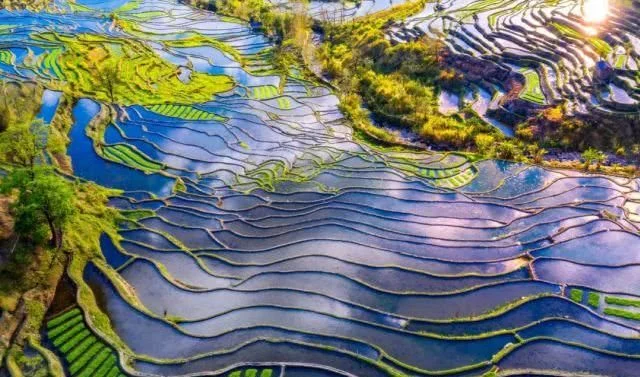 全国四大绝美春色,可惜今年看不到了!【2020热门旅游景点】
