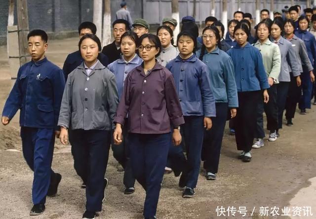 曾是农村的“铁饭碗”，如今已然衰败，尤其第3种，农民都要讨好