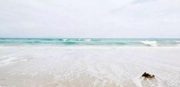 去了伊豆，才知道日本的美可以这样沁人心脾