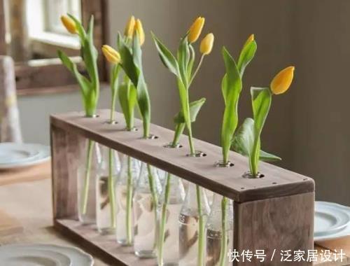  植物@变废为宝早知道，废弃玻璃瓶一个别扔，简单改造下还有大作用！