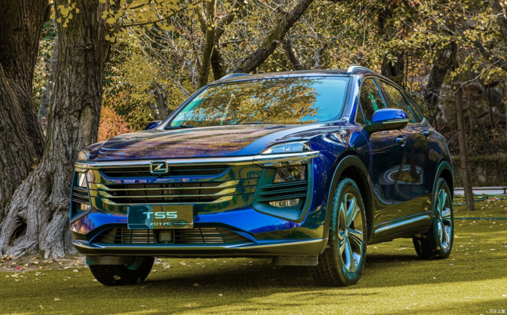 中国品牌上海品牌