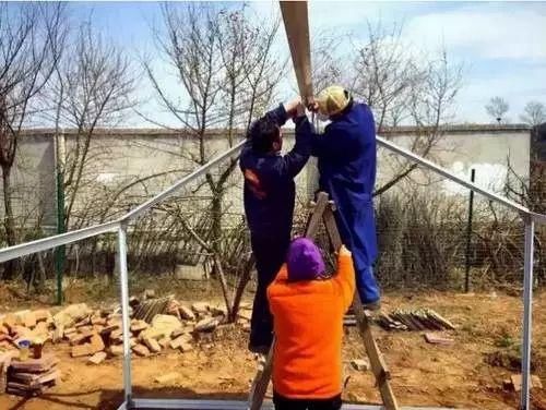  『花房』你在梦想有一个花房的时候，别人家的姑娘已经用一亩地实现了