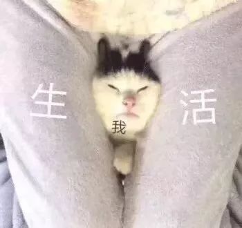 为什么她工作不如我，升职加薪却比我快？