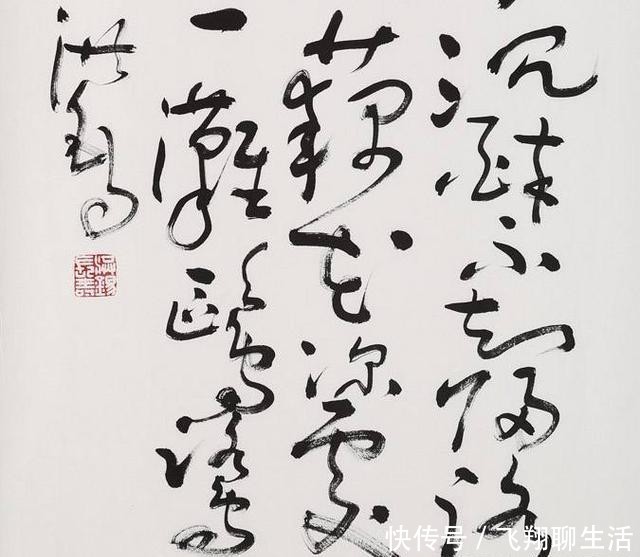  【山寨】他毕生学习书法，终于写进了“山寨”协会。网友：不可思议