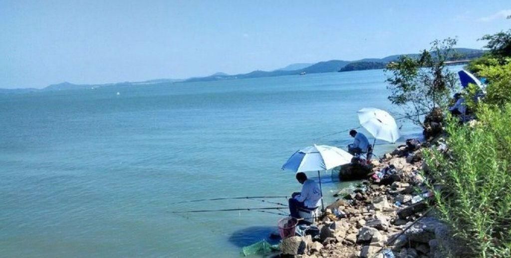  【影响】野钓调漂干货分享，详解鱼钩和漂尾在实际调漂中的影响！