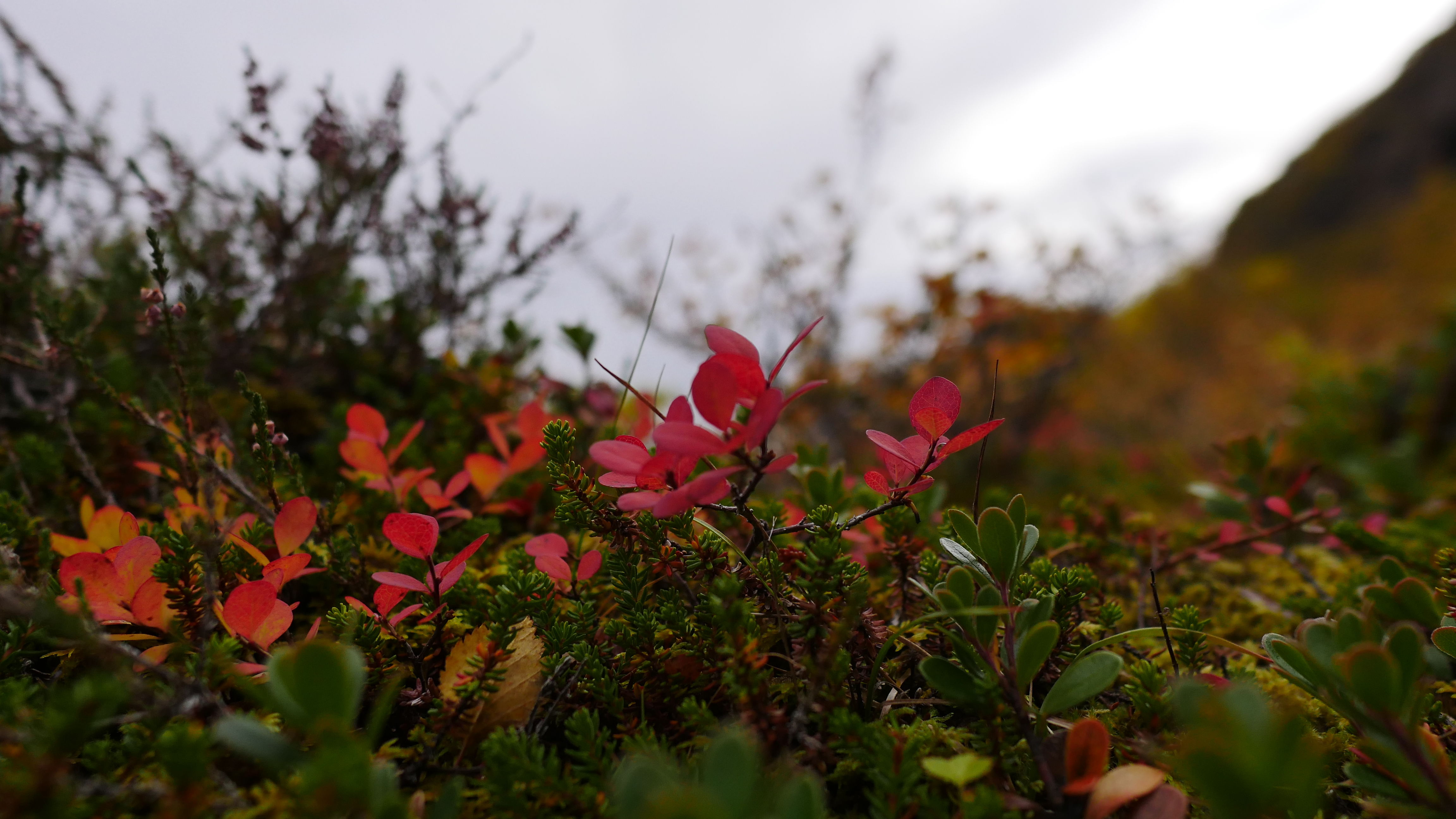 一起去世界的尽头流浪 冰岛历险记（中）