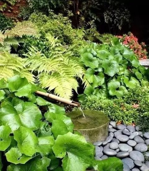 庭院不需太奢华，或一盆花，或一个老物件就能让庭院惬意起来