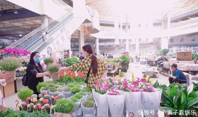  #玫瑰#亚洲最大的鲜花市场在昆明，玫瑰3毛一朵，网红直播卖花