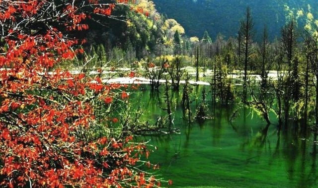 四川敢与九寨沟叫板的景点，雪后如遗落人间的仙境，美到治愈心灵
