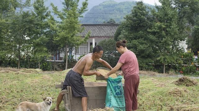  【黄土背】现在的农村，乡亲们还像以往一样“面向黄土背朝天”辛苦劳作吗？