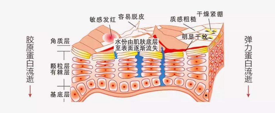 越抹越凉爽，补水不油腻?难怪这款澳洲面霜成为美妆大V的心头肉!