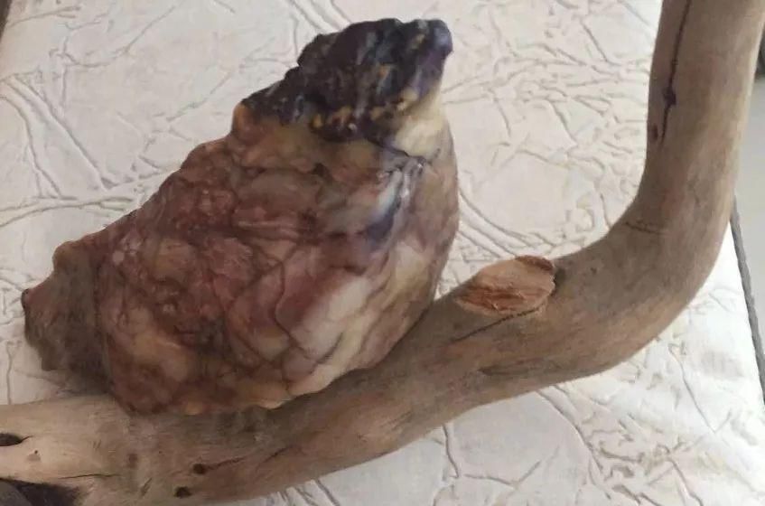  送给■最美的石头送给您！