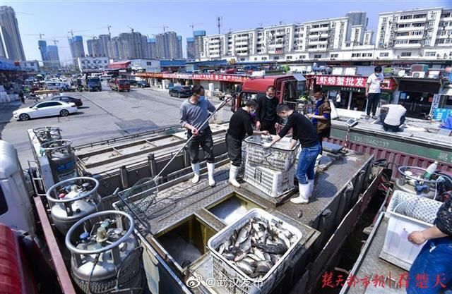  恢复■武汉城市生鲜陆续恢复营业，白沙洲大市场恢复繁忙场景