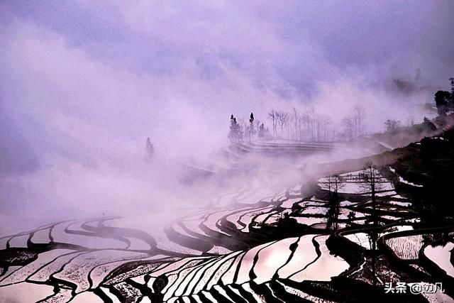 《云南风光》多依树梯田，壮美秀丽，如梦如幻的人间仙境！