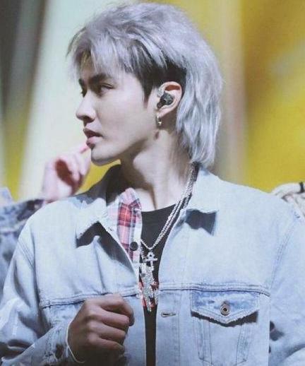 同样是鲻鱼头造型蔡徐坤可爱，易烊千玺成熟，最好看的是他！