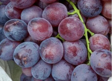 吃葡萄一小时内不要吃这三种食物，对身体坏处太多