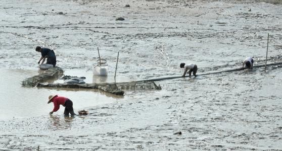 未来农村，这三类人将越来越富，这三类人会越来越穷，你是哪一种
