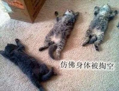 高温黄色预警持续...但好消息是，江苏终于进入“退烧”倒计时了