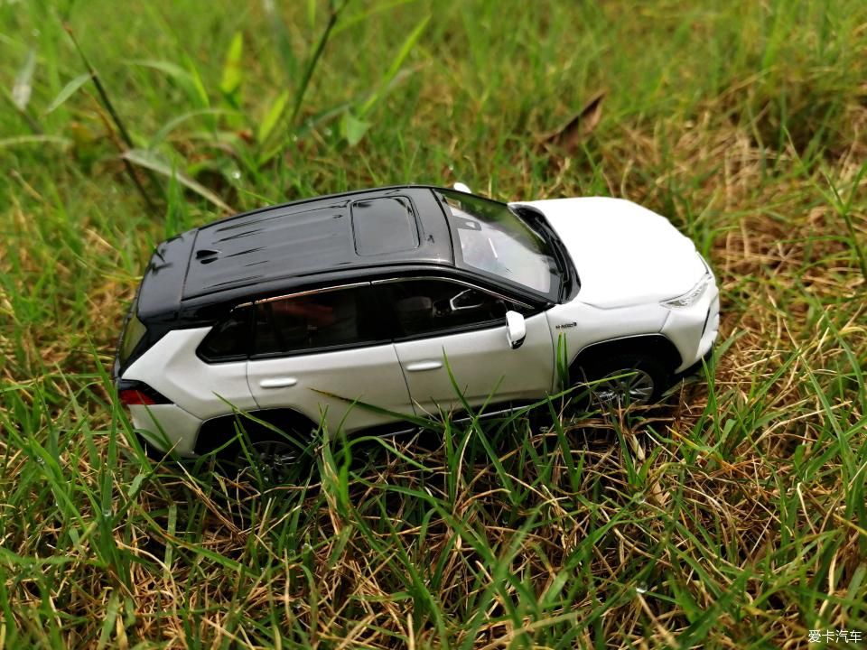 特别:十里春风,打卡滨江公园