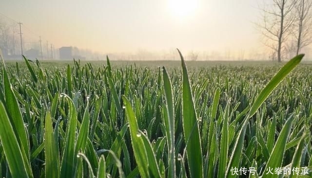  「远处的水」“方形奥诺河”早春钓鱼方法！