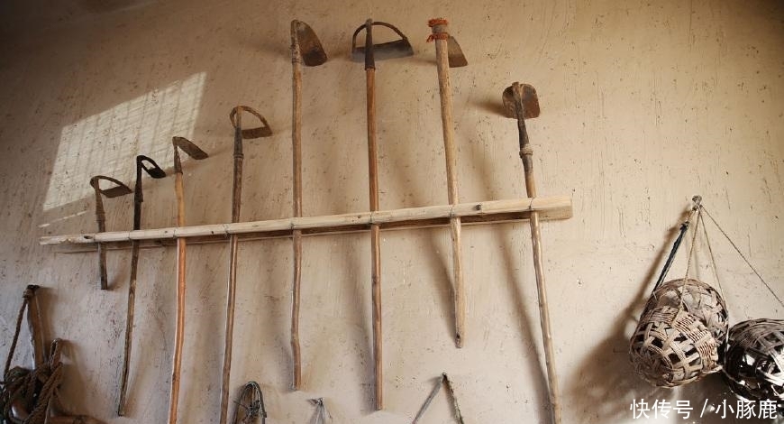 农村俗语: “吃自得, 穿二八, 赌一半, 嫖白瞎”啥意思, 有道理吗