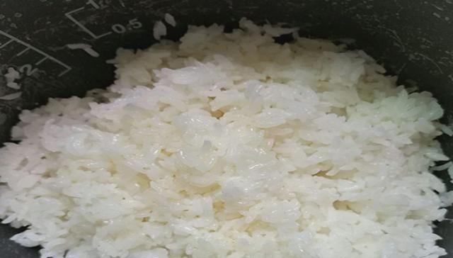  【适合】米饭饵怎么制作？米饭饵适合什么鱼情？你想知道的都在这里