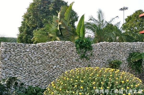 广州有间800年前“豪宅”,用黄泥红糖粘蚝壳作墙,里面冬暖夏凉