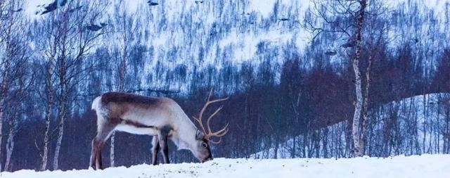 国内这些小众景点也太美了!关键是不用人挤人!景色不输热门景区