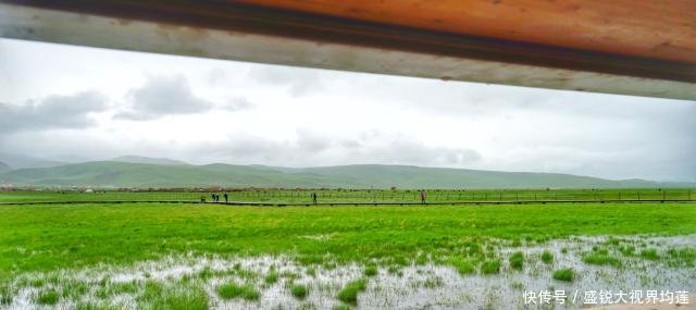 甘肃最大高原淡水湖变迁史 曾三次干涸见底 20年“长”大五倍！