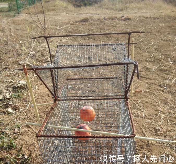 只有80后农村人知道这是干嘛的，现在想见都难喽，你知道这是啥