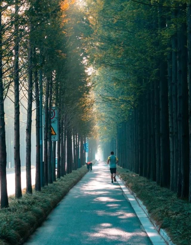 比成都安逸，比苏杭秀美，倦了就去小住几天