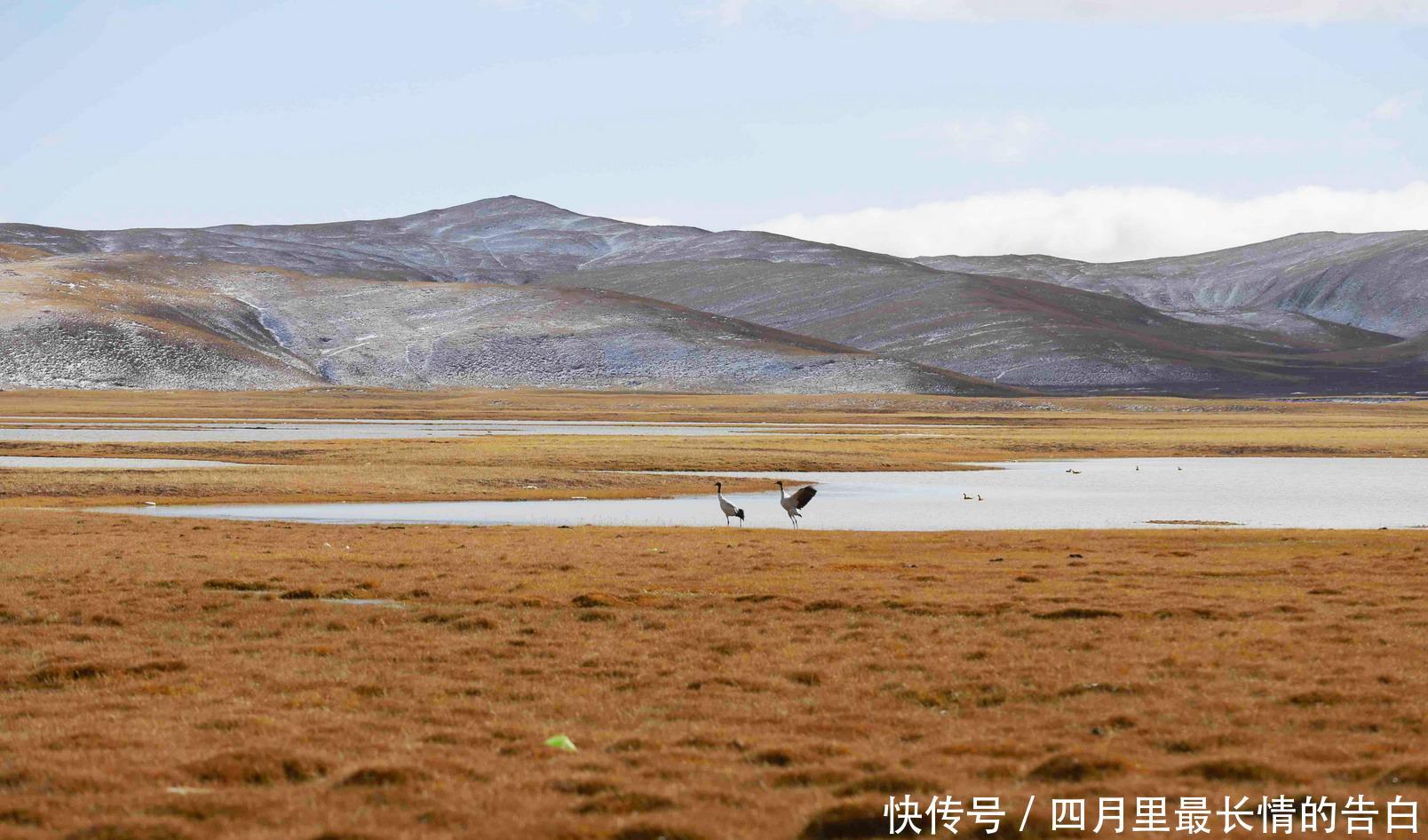  『玛多县』黄河源头被称“千湖之乡”！自驾青海，探访母亲河源头遇荒寂之美