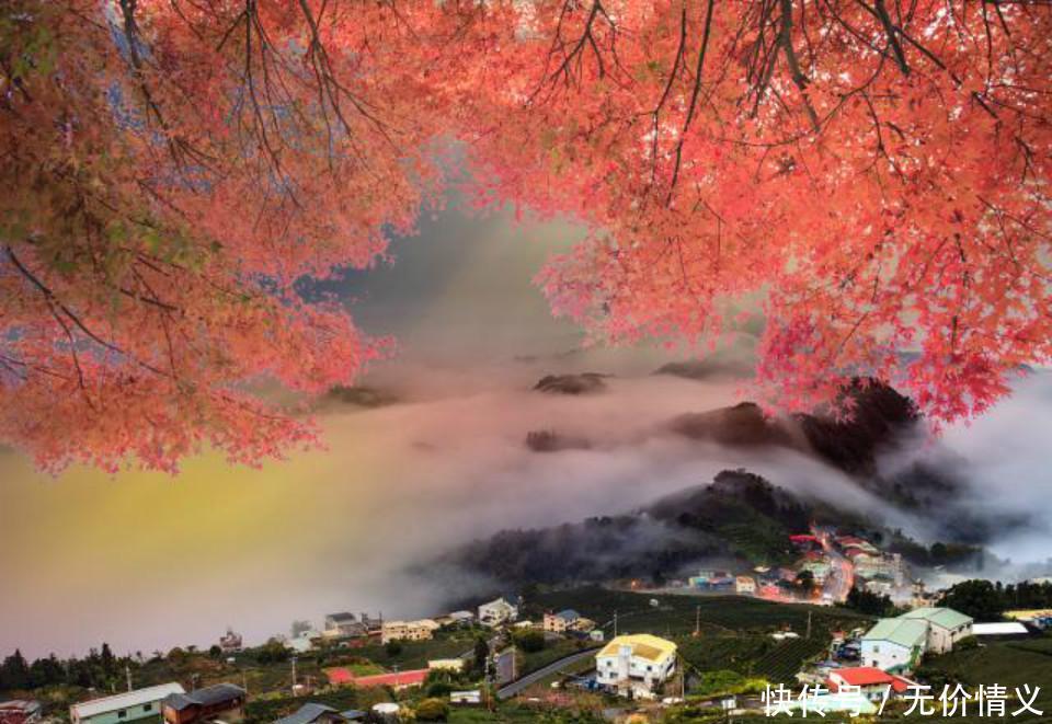 唐代高僧在墙壁上题组诗,句句下里巴人,却