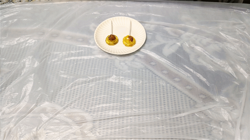 鸡骨头是湿垃圾，多久可降解？记者“堆肥”48小时后，看到的竟是