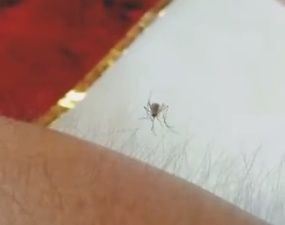 专家辟谣:原来那些朋友圈疯转的养生说法都是假的，你照做了吗?