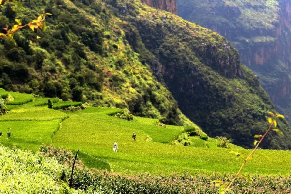 9月，贵州最美的风景竟然在这里，一生要去看一次~