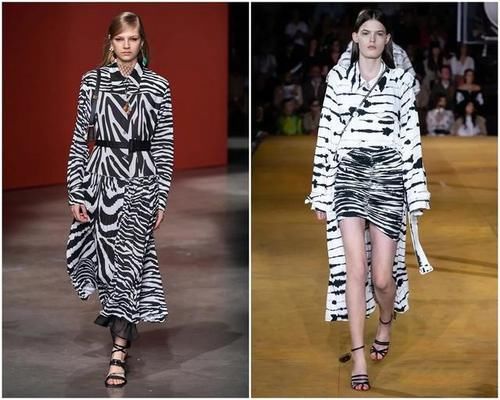  『北美』说她是“北美小野马”，还不是因为斑马控